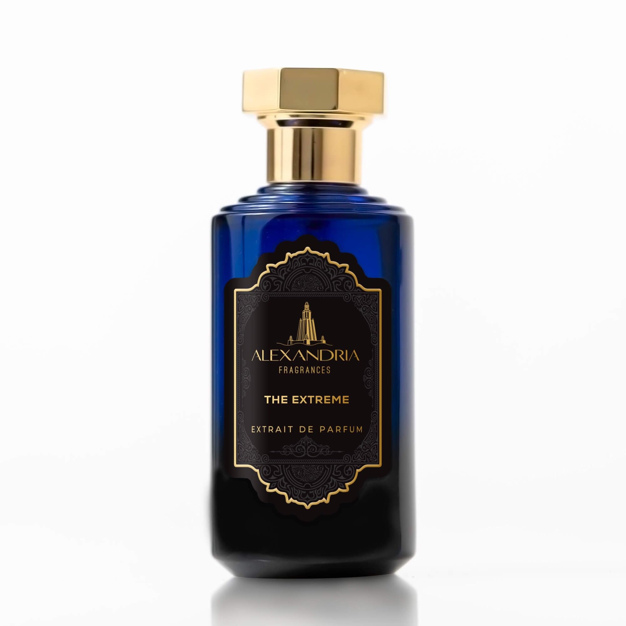 Amazon.com : Alexandria Fragrances The Extreme Perfume for Men